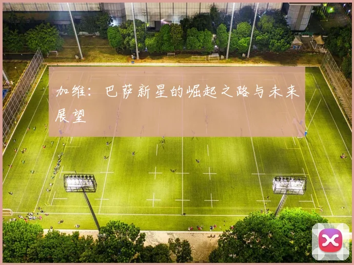 加维：巴萨新星的崛起之路与未来展望