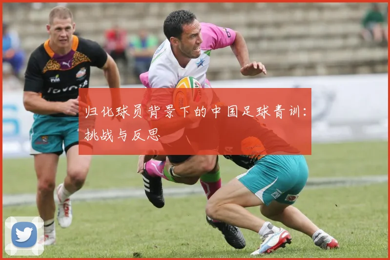 归化球员背景下的中国足球青训：挑战与反思