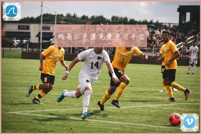 网易公开课免费学习平台