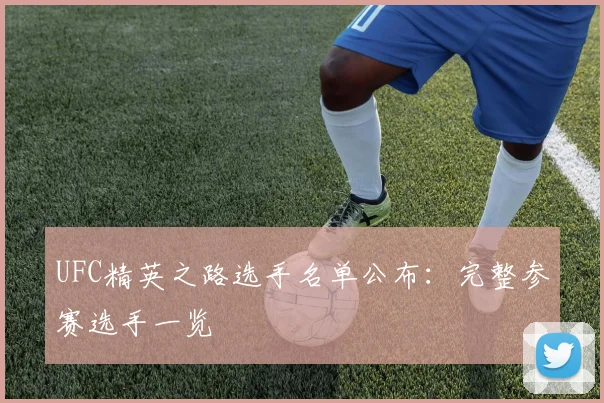 UFC精英之路选手名单公布：完整参赛选手一览