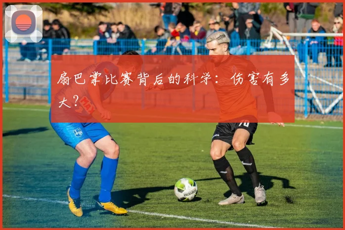 扇巴掌比赛背后的科学：伤害有多大？