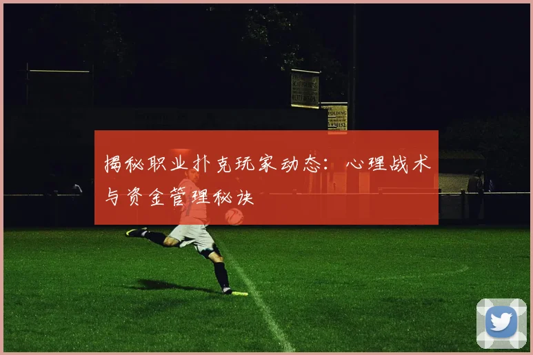 揭秘职业扑克玩家动态：心理战术与资金管理秘诀