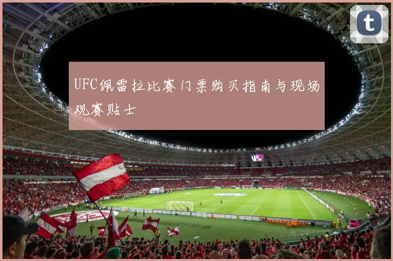 UFC佩雷拉比赛门票购买指南与现场观赛贴士