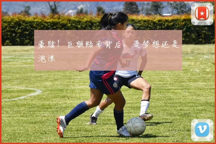 豪赌！巨额赔率背后，是梦想还是泡沫