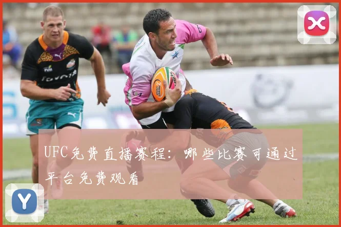 UFC免费直播赛程：哪些比赛可通过平台免费观看